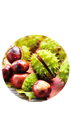 Ingredient 1